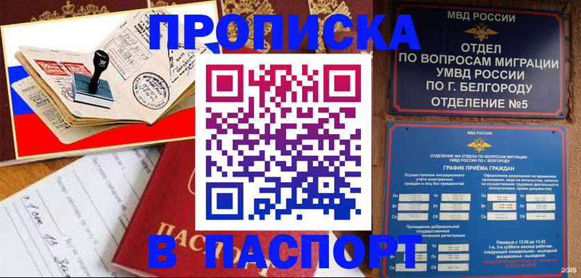 купить прописку в Торопеце